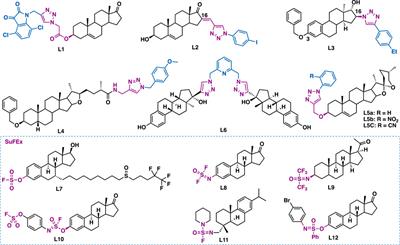 Frontiers | Click Chemistry in Natural Product Modification